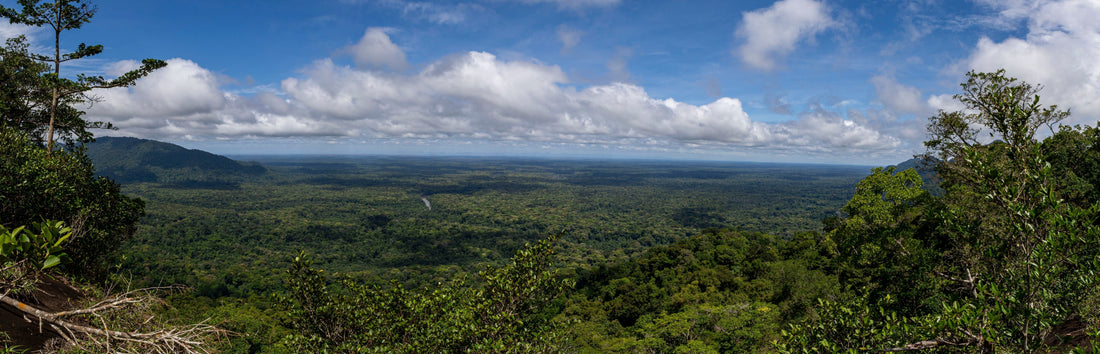 Guyana - A Little Further