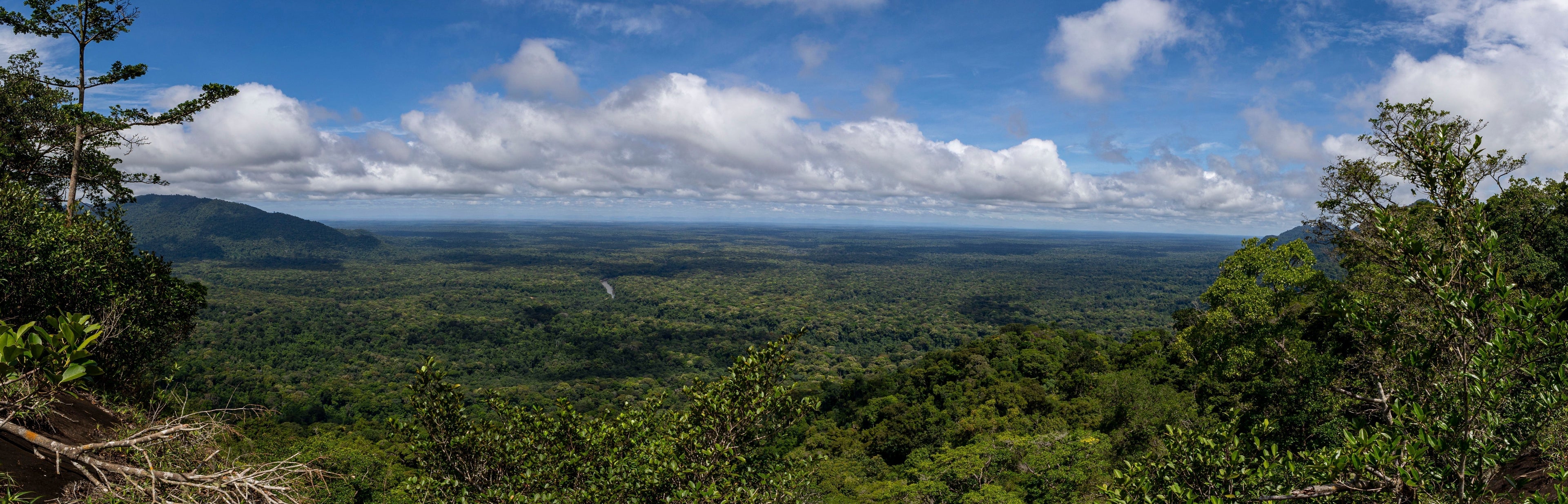 Guyana - A Little Further