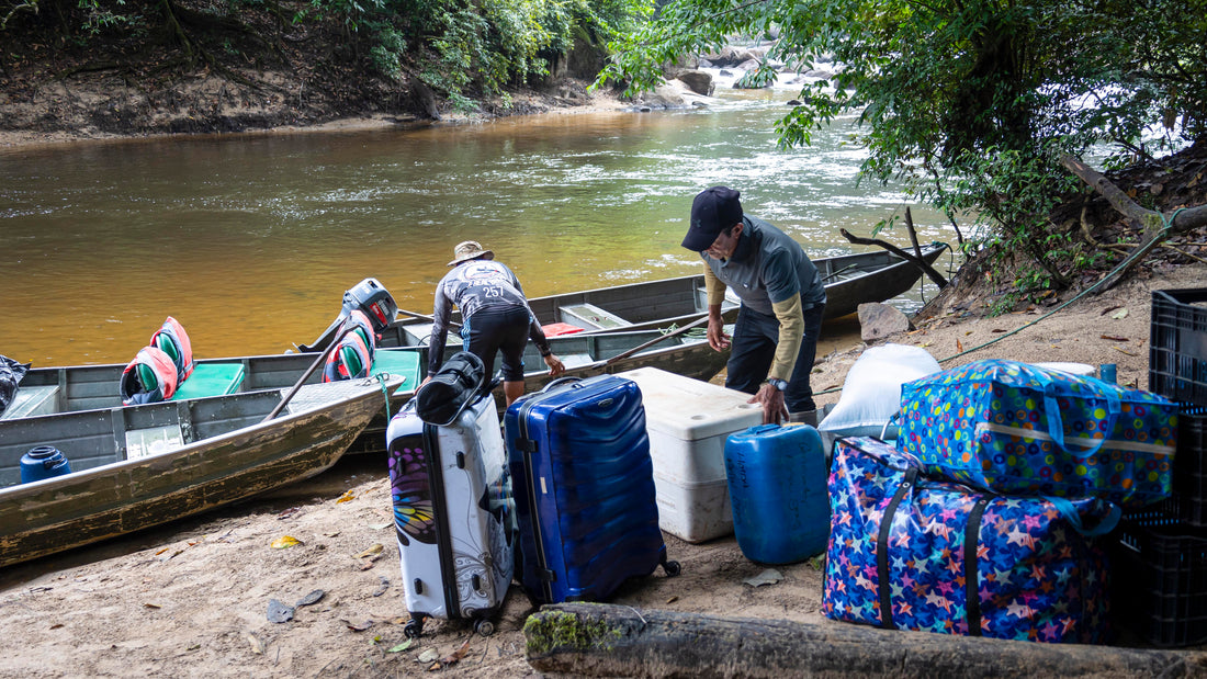 Guyana - Last Day in the Rainforest