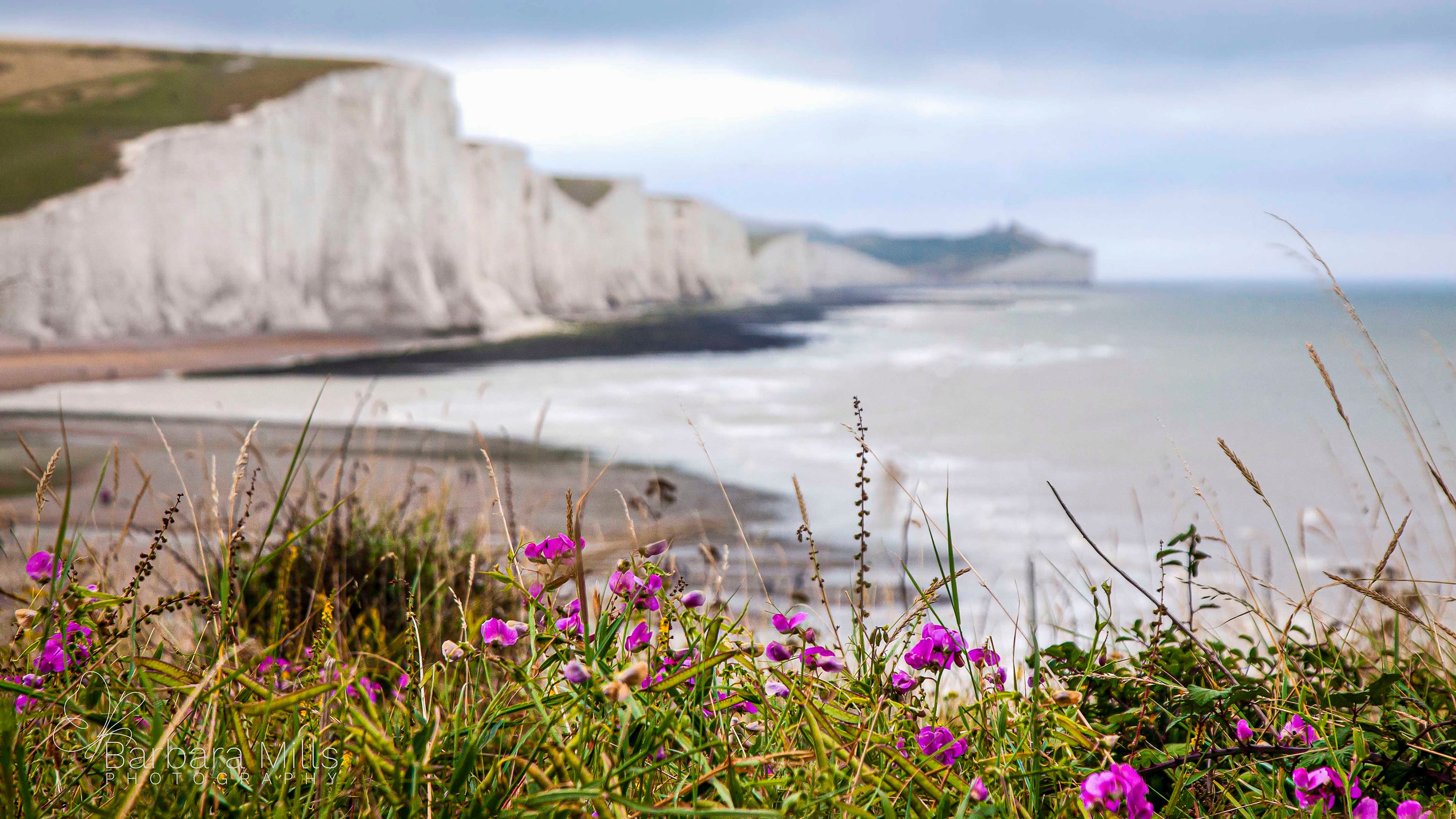 The Flowers of Seven Sisters