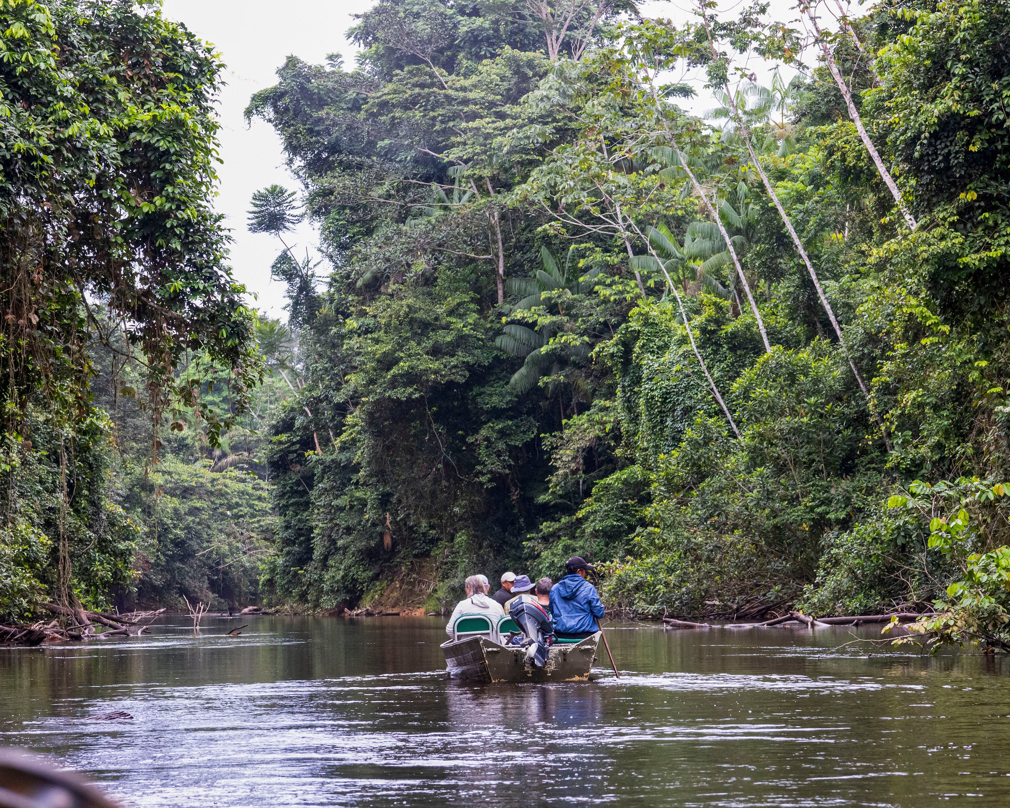 The Guyana Collection