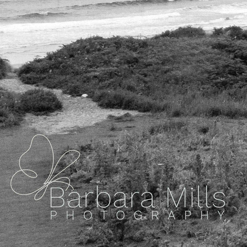 The Deserted Beach
