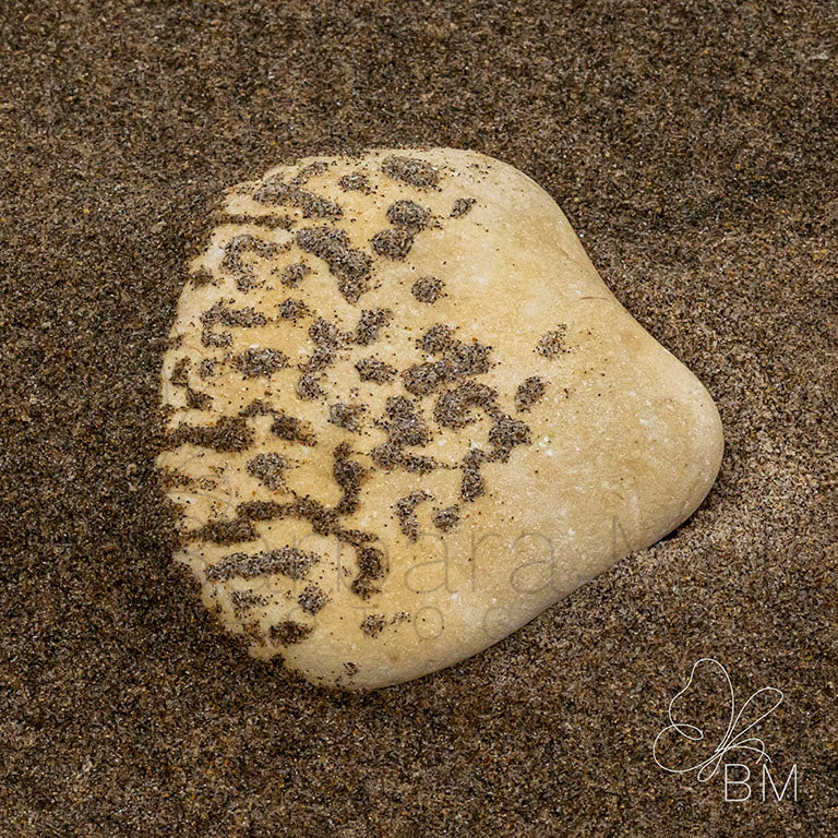 Sandy Pebble