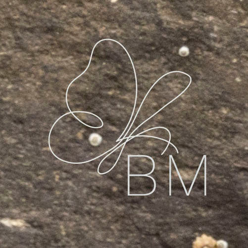 Limpet – Tidal Mosaic