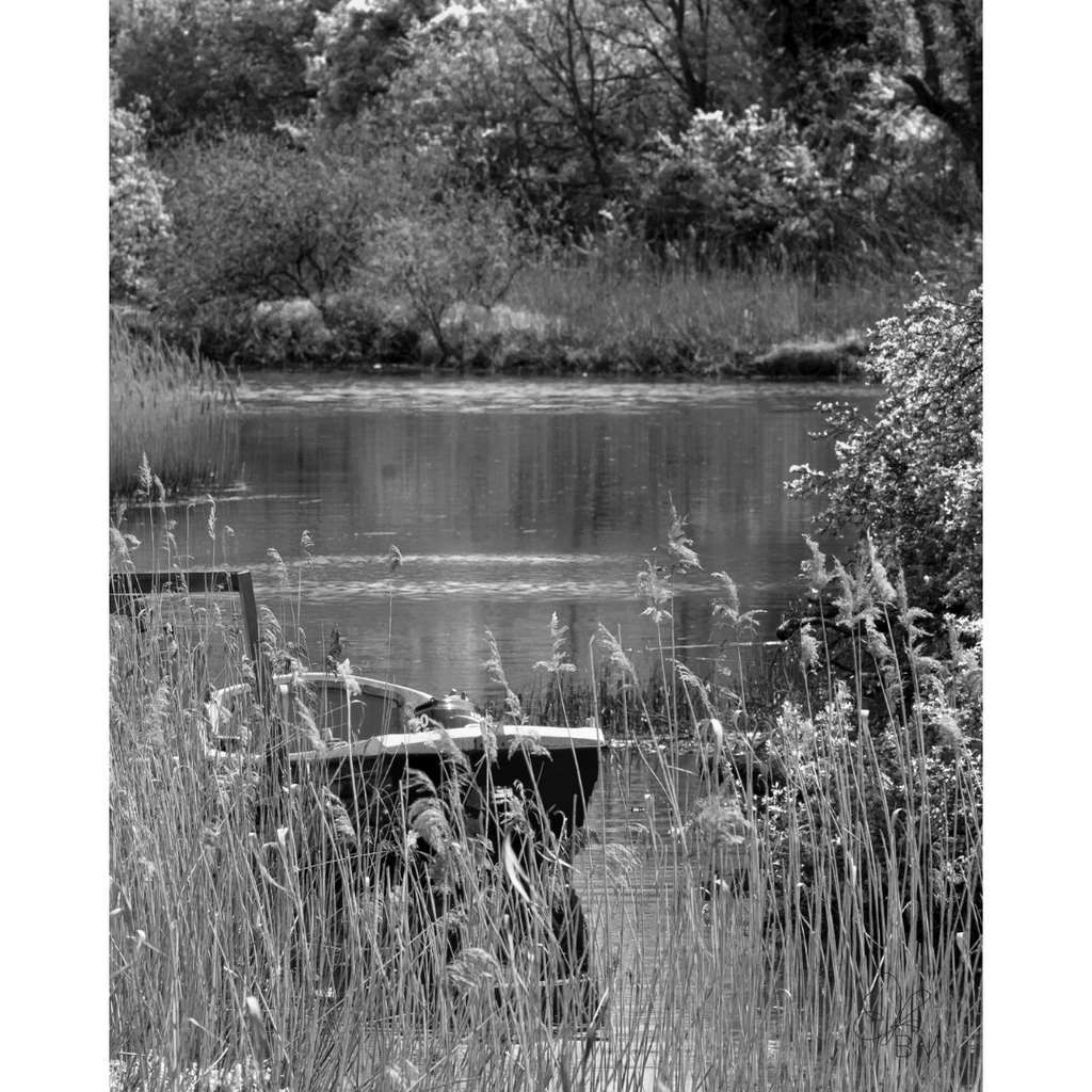 Kingfisher Cottage Boat