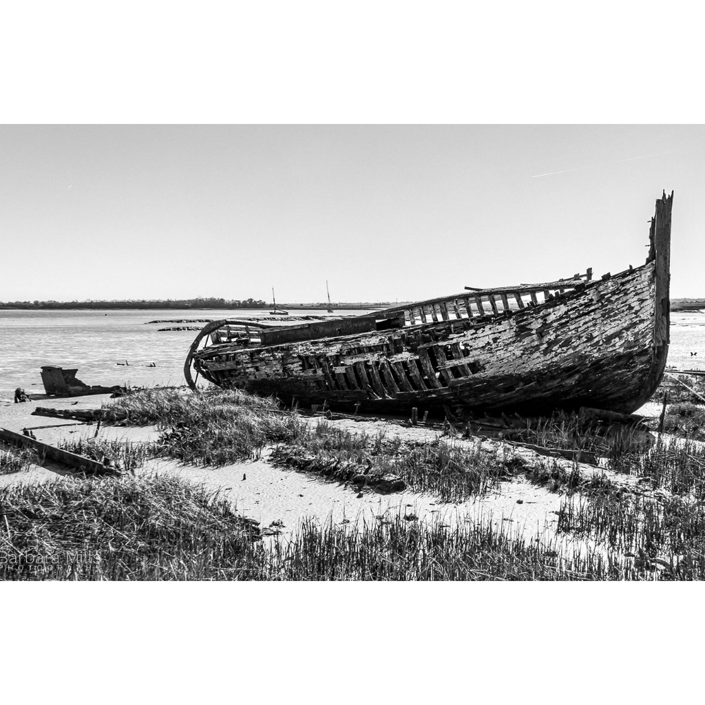 The Forgotten Tide