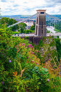 Clifton's Flowers