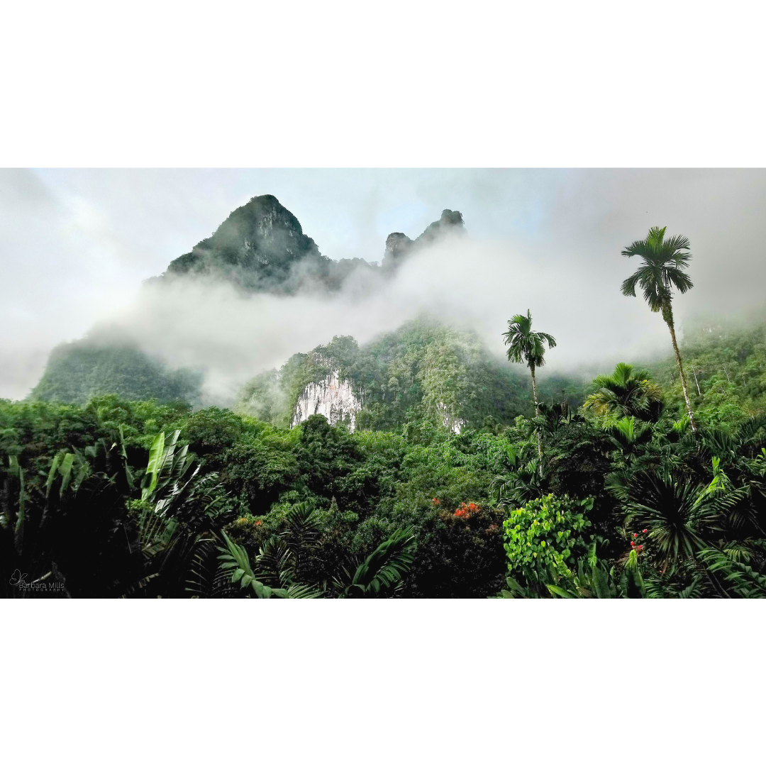 Breakfast at Khao Sok
