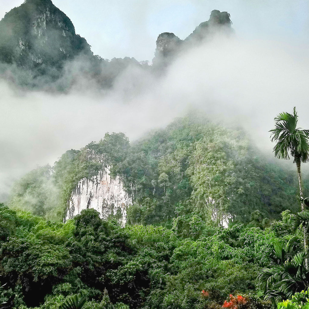 Breakfast at Khao Sok