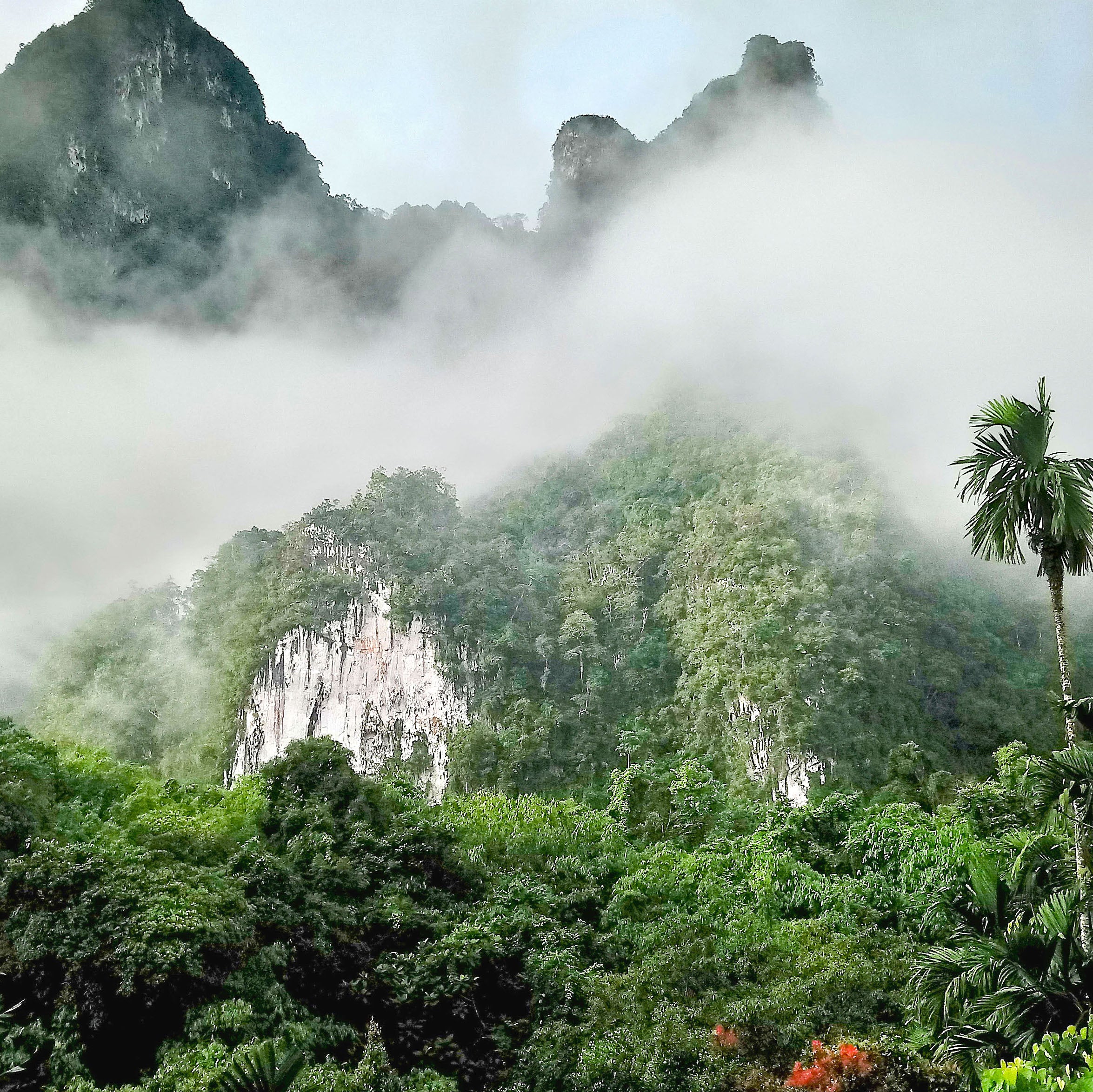 Breakfast at Khao Sok