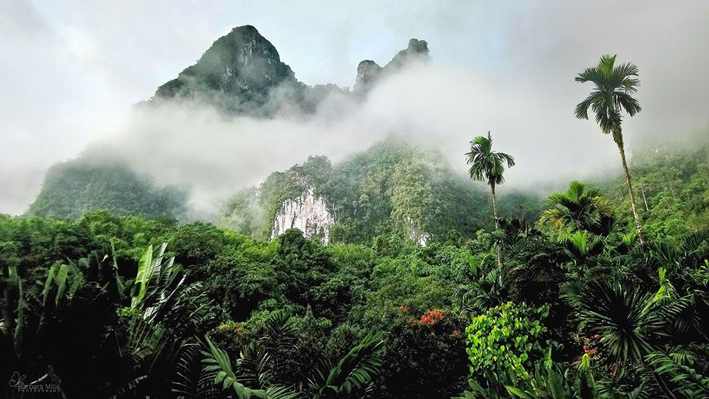 Breakfast at Khao Sok