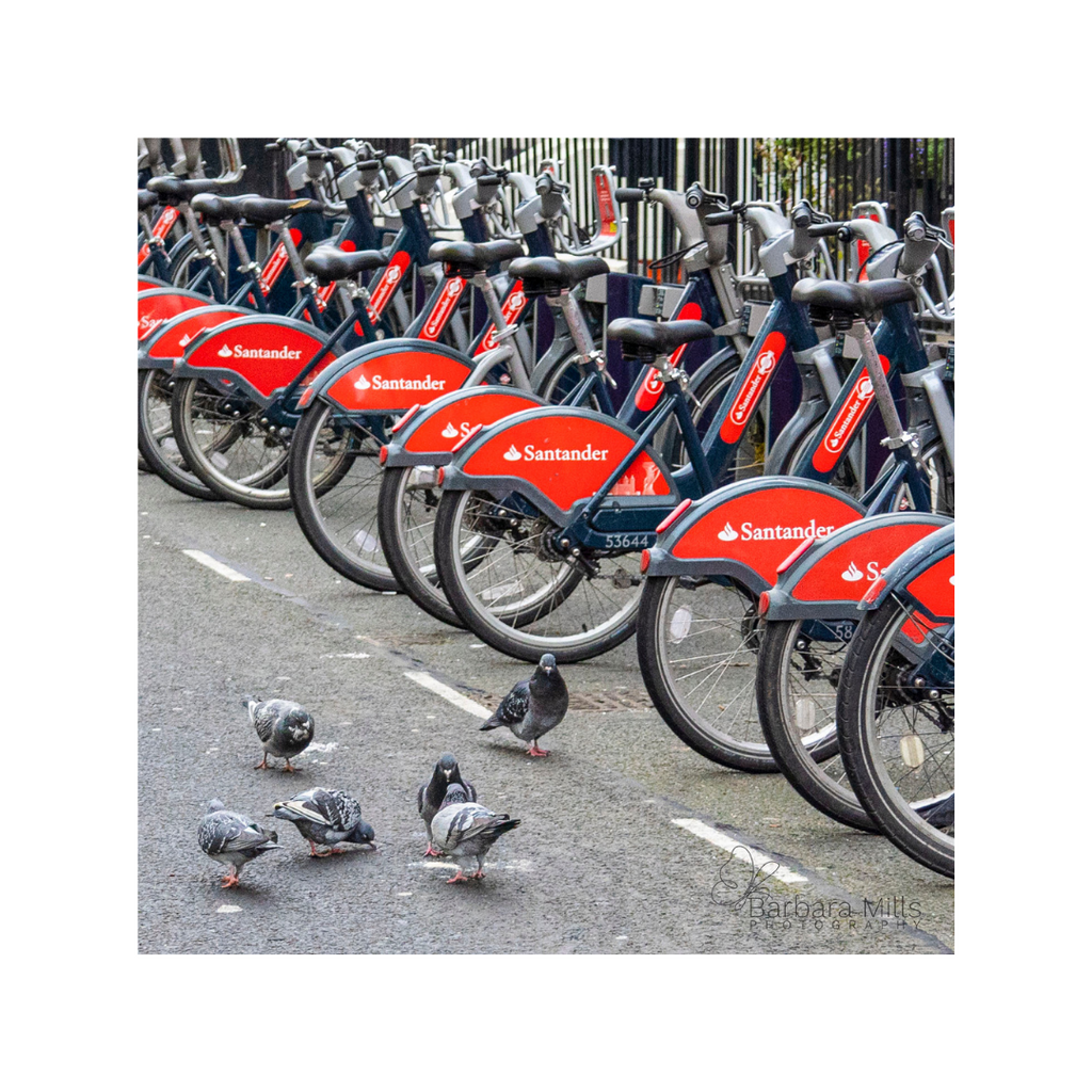 The Bikes