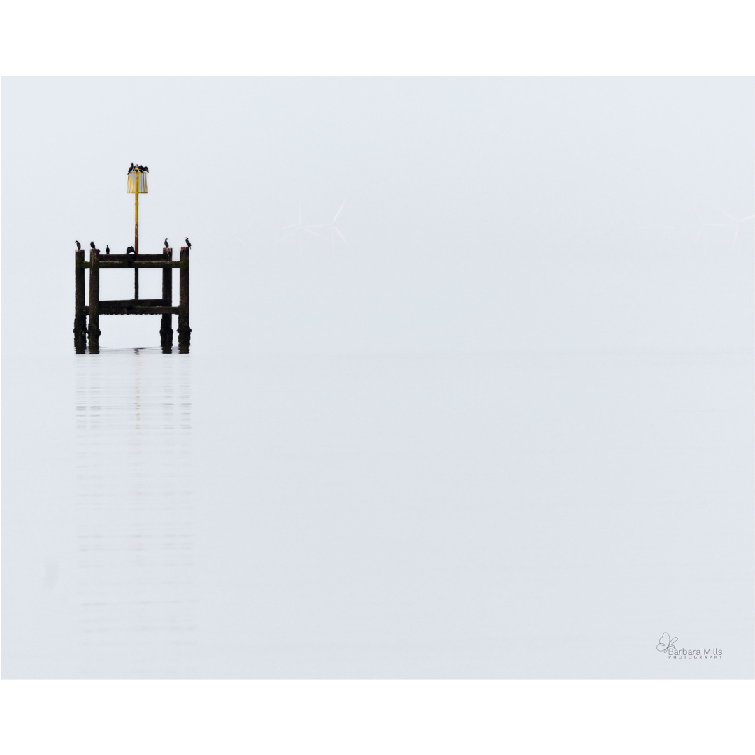 Stillness and Silence