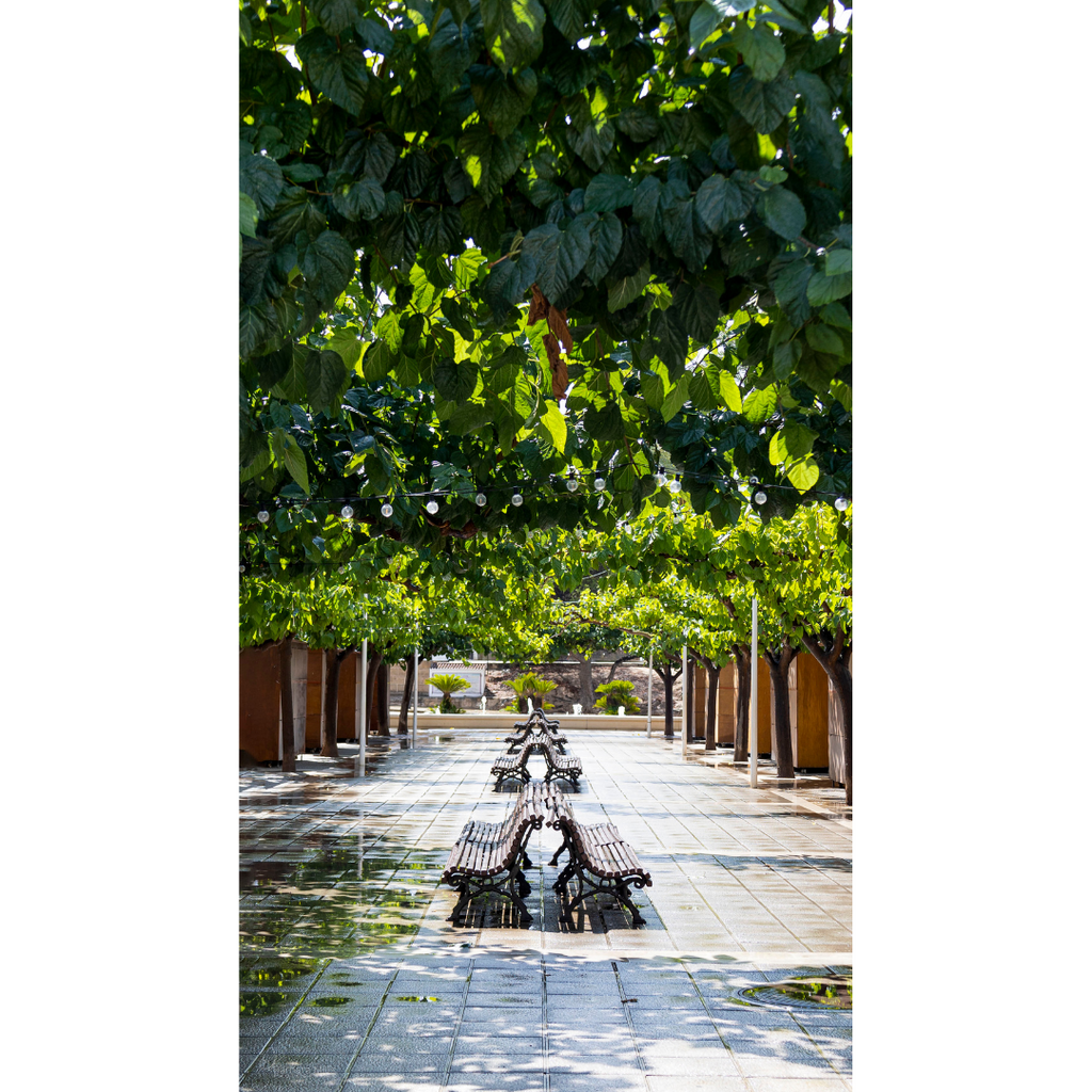 Moraira Walk