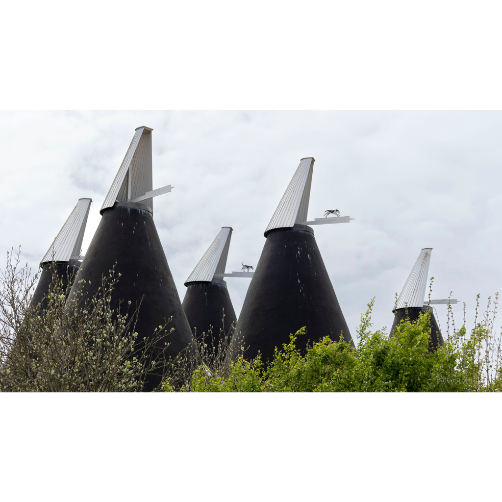 Oast Houses Dogs