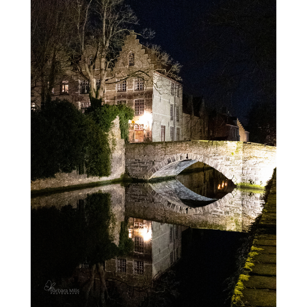 The Night Bridge