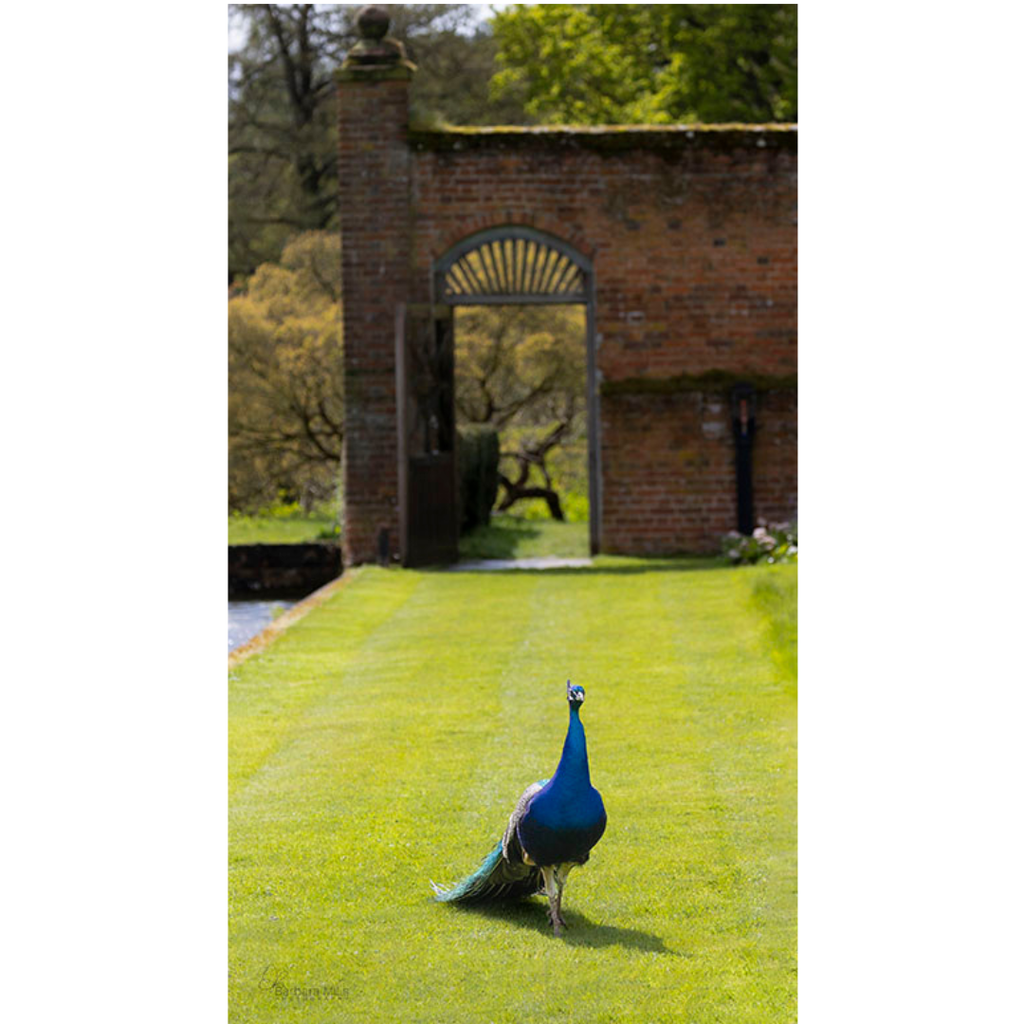 Welcome to the Walled Garden