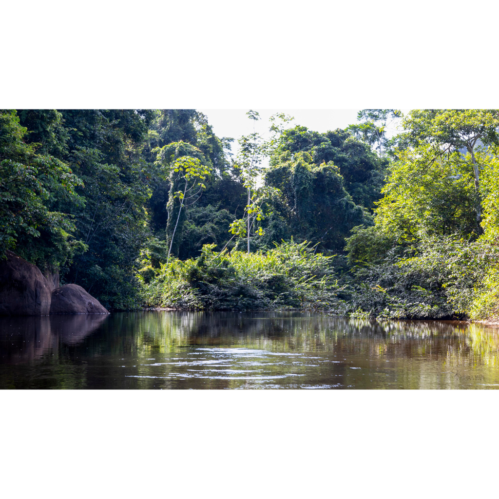 Where the River Bends