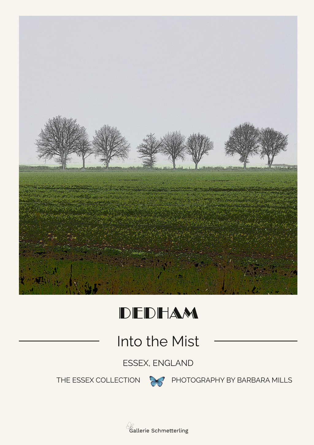 Dedham - Into the Mist