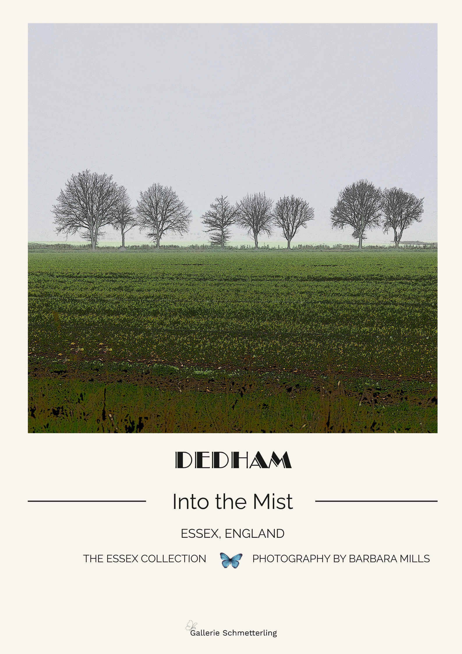 Dedham - Into the Mist