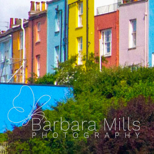 Bristol Backyards