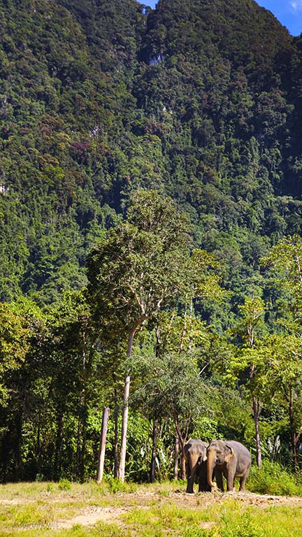 Elephant Hills