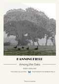 Hanningfield - Among the Oaks