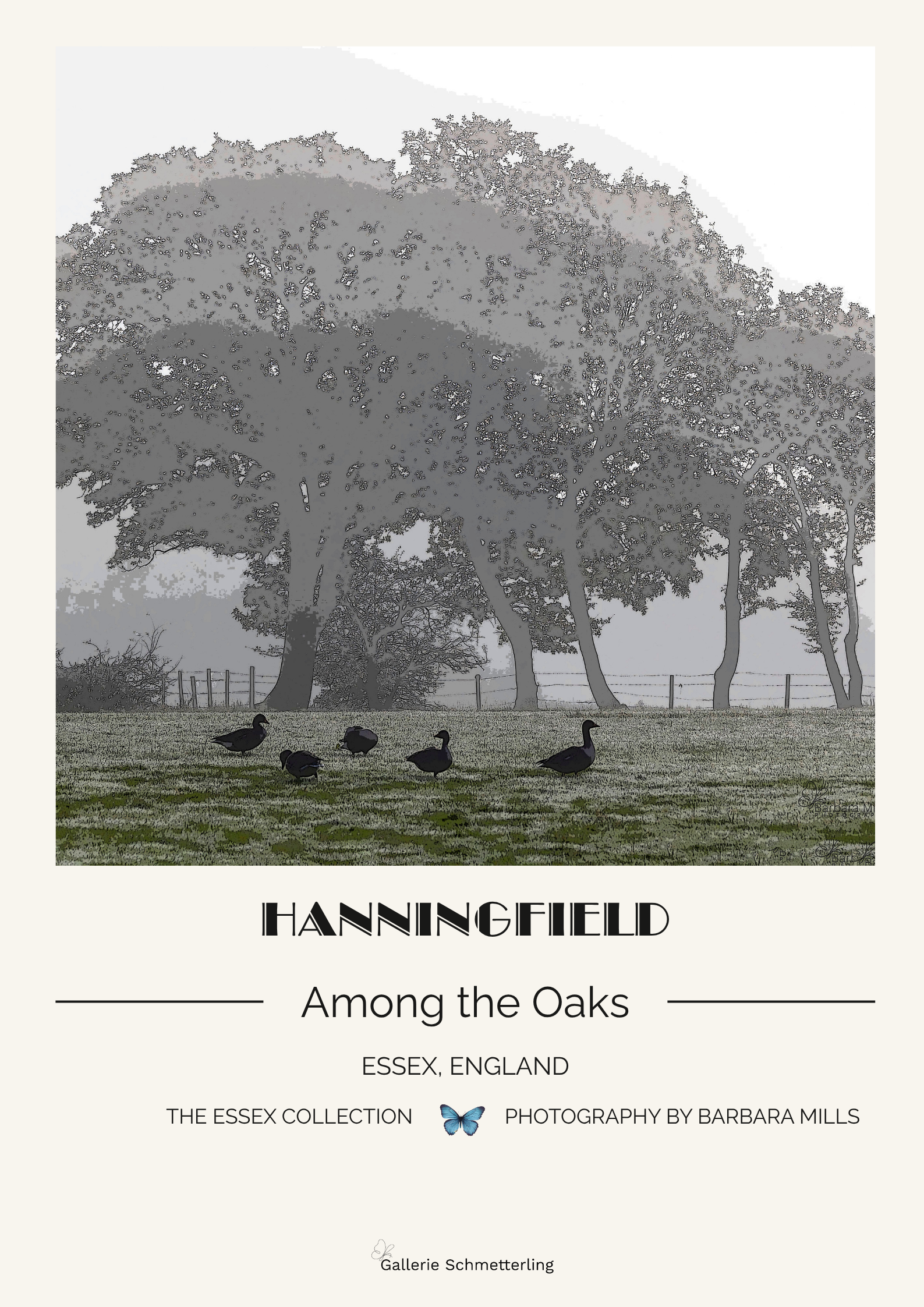 Hanningfield - Among the Oaks