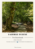 Hatfield Forest – The Boardwalk