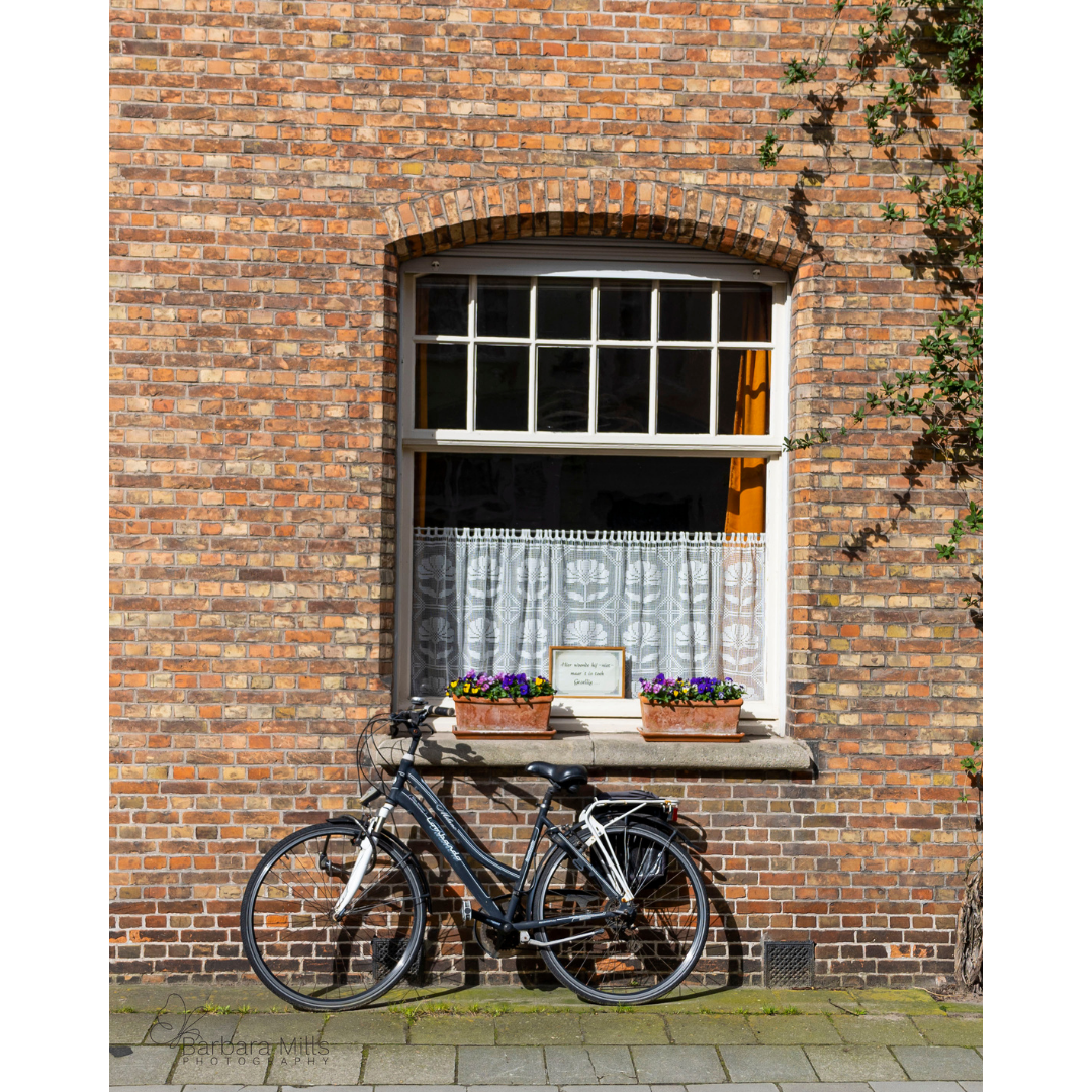 The Delivery Service