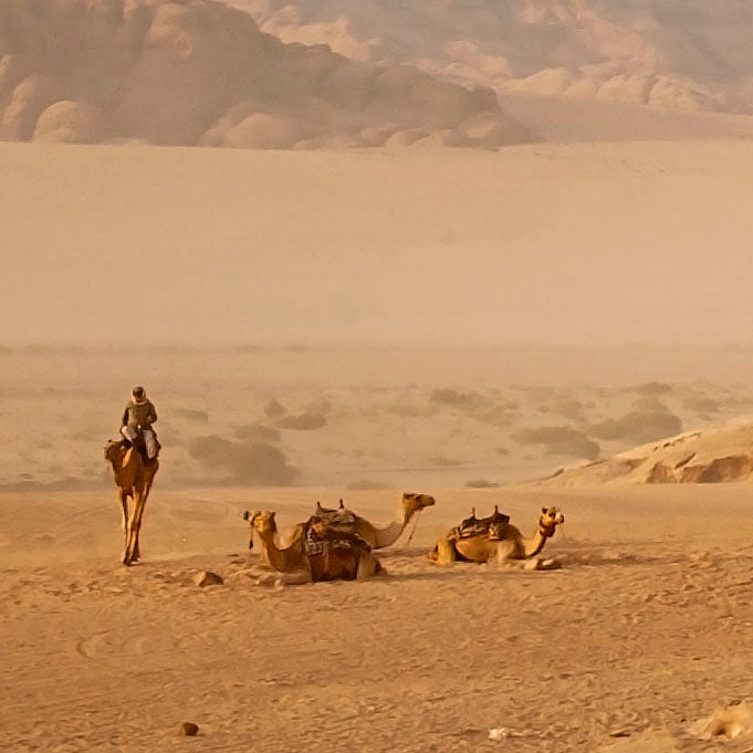 Bridge Across Worlds