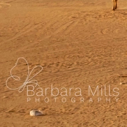 Bridge Across Worlds