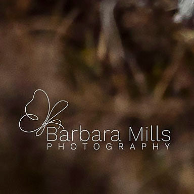 Best view on the Mountain