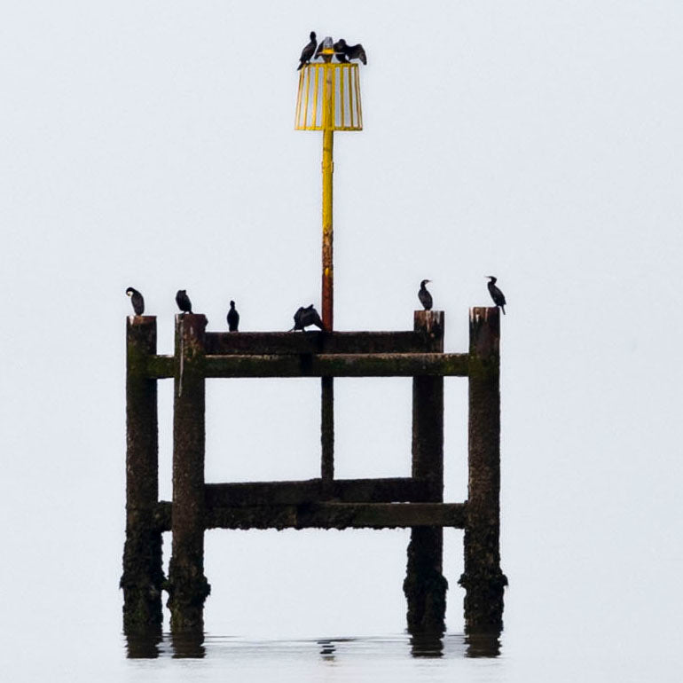 Stillness and Silence