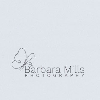 Stillness and Silence