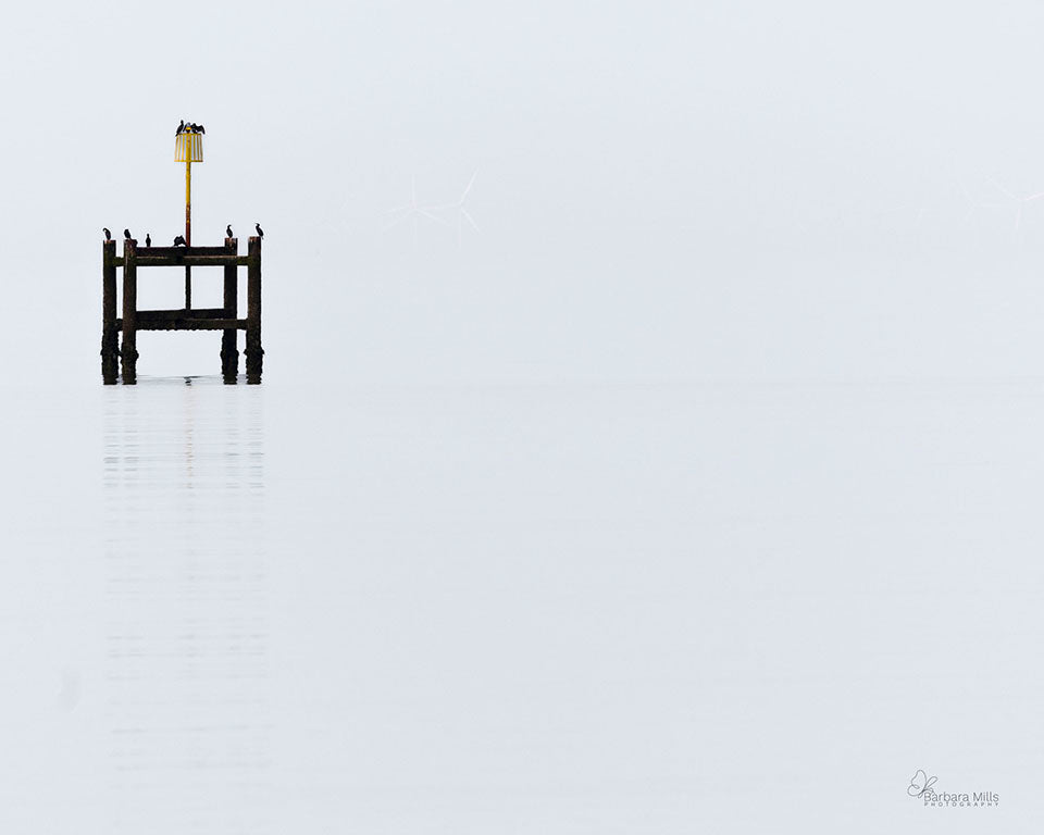 Stillness and Silence