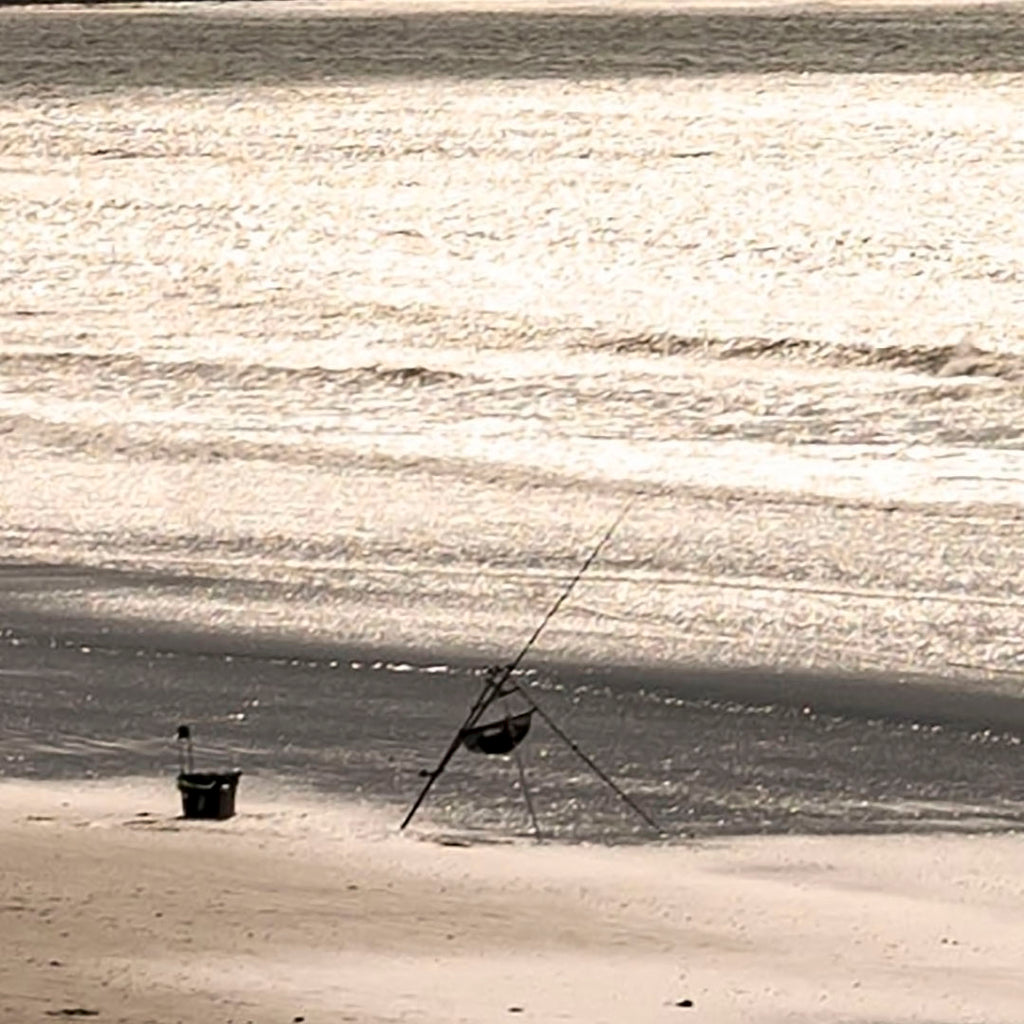 Solitude by the Shimmering Shore