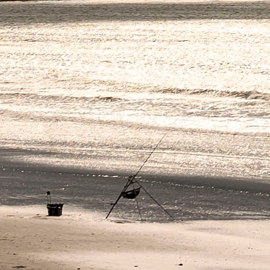 Solitude by the Shimmering Shore