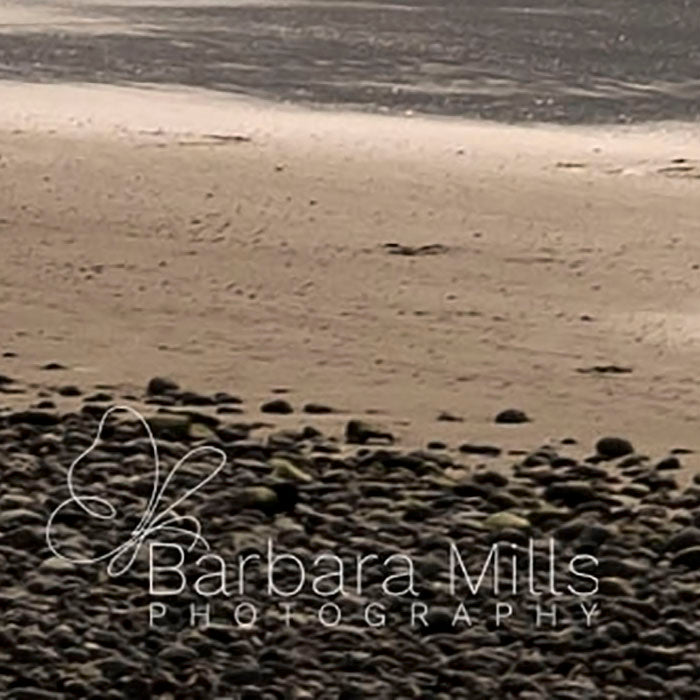 Solitude by the Shimmering Shore