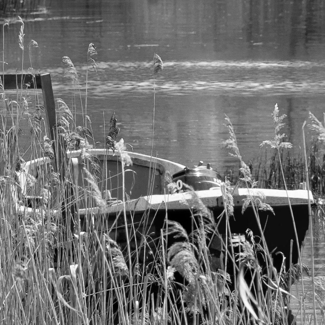 Kingfisher Cottage Boat