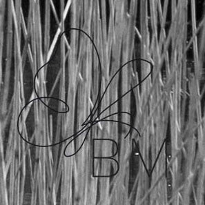 Kingfisher Cottage Boat