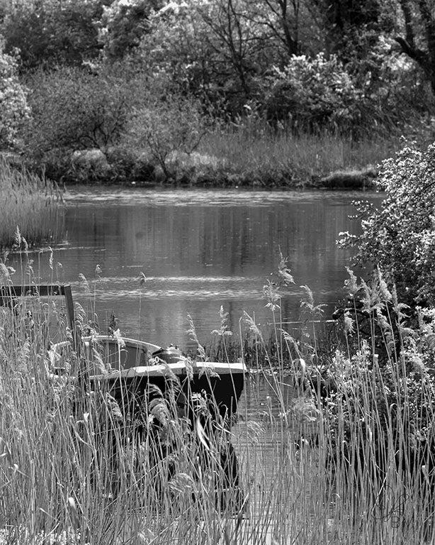 Kingfisher Cottage Boat