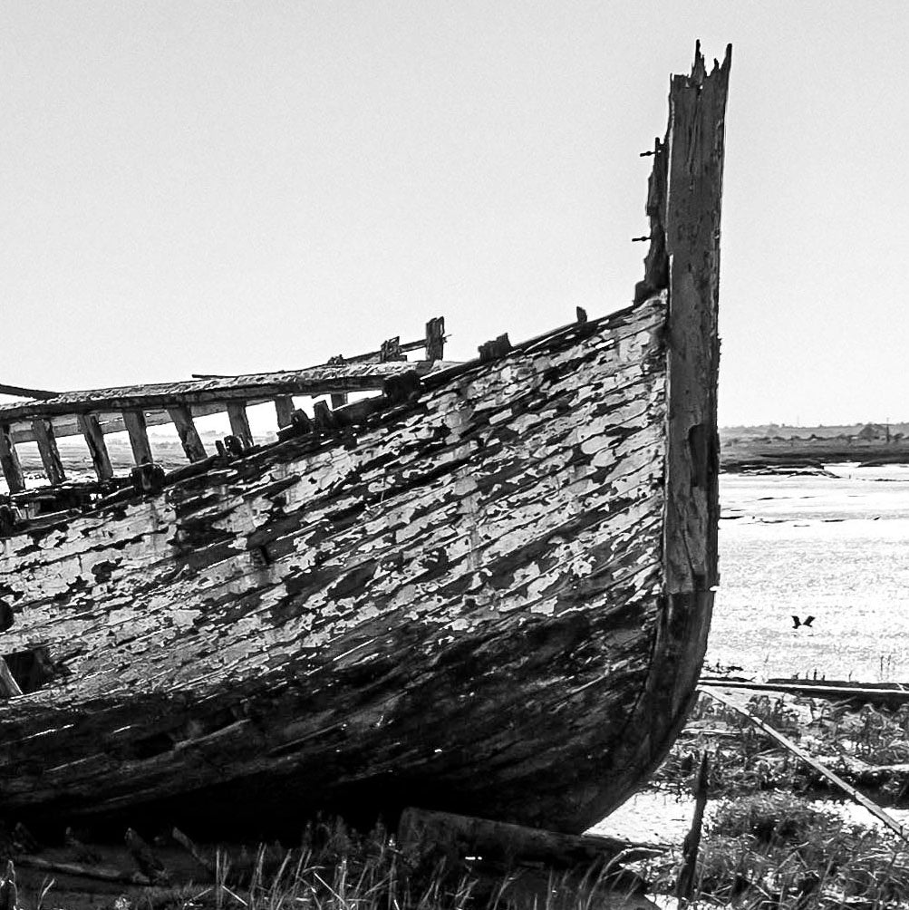 The Forgotten Tide