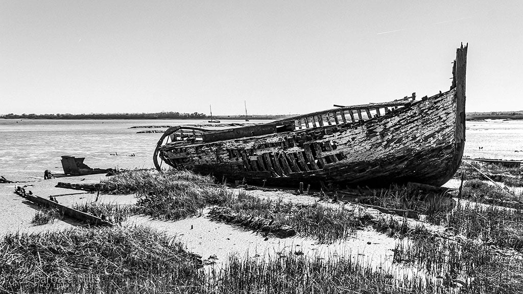 The Forgotten Tide