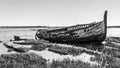 The Forgotten Tide