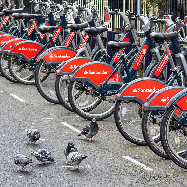 The Bikes