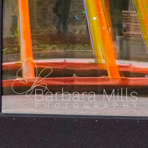 Distorted Reflections