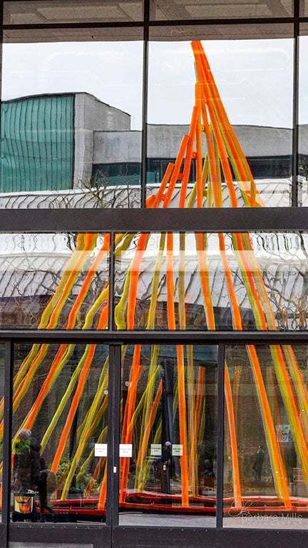 Distorted Reflections