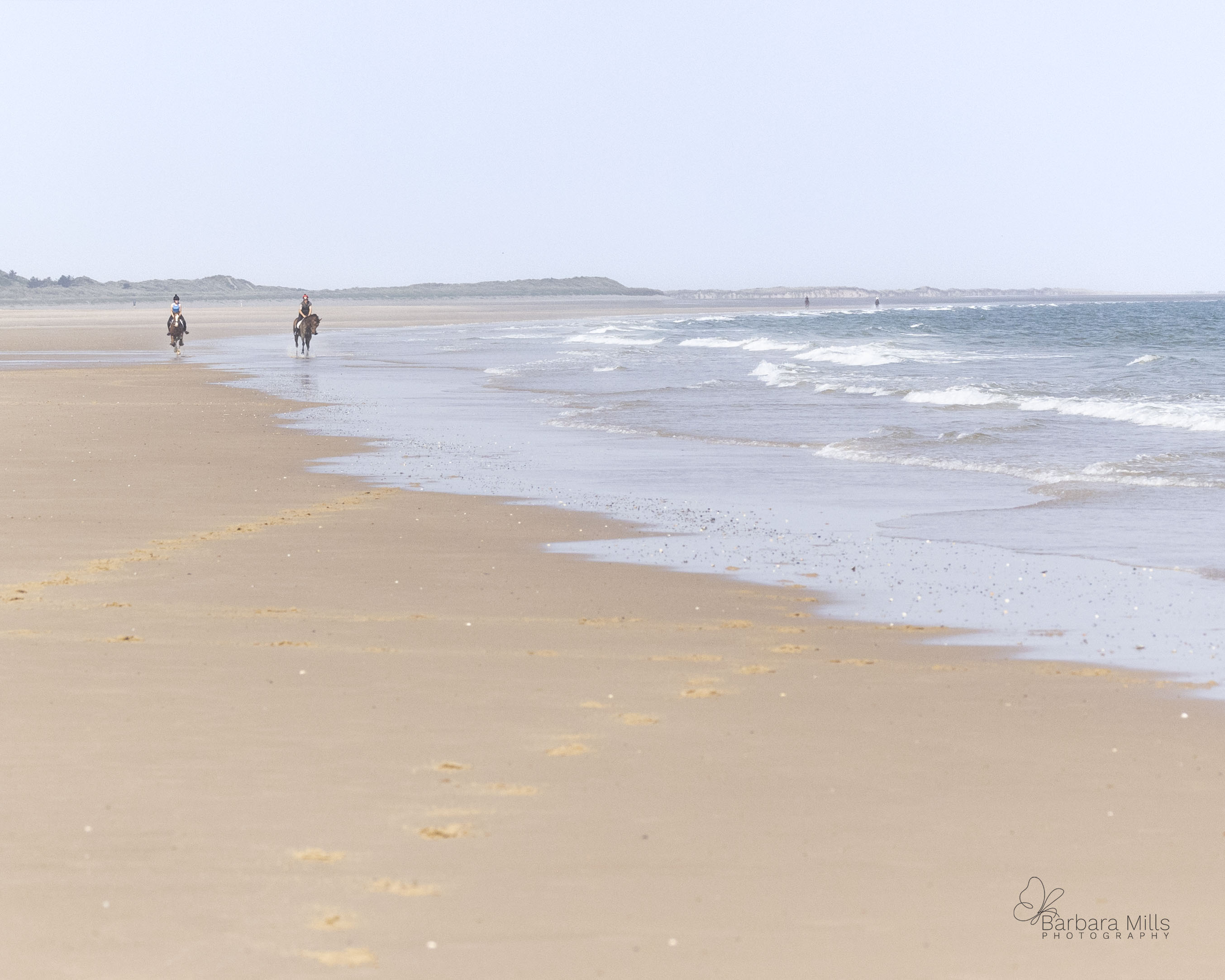 Buddy and Summer Eyes