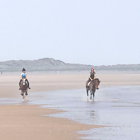 Buddy and Summer Eyes